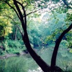 Clear Creek Metro Park