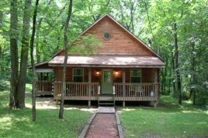 Blue Rose Cabins