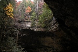 Owl Prowl at Ash Cave