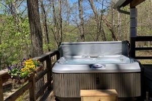 Bear's Den Cottage