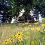 Burr Oak State Park