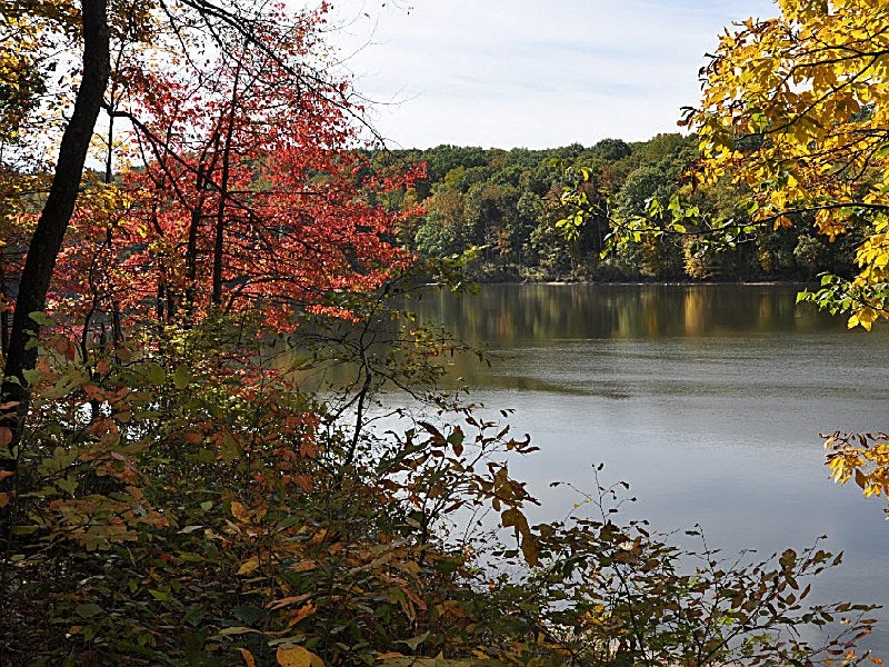 Burr Oak State Park