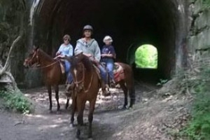 Uncle Buck's Riding Stable