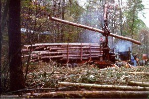 Forest Management Hocking hills