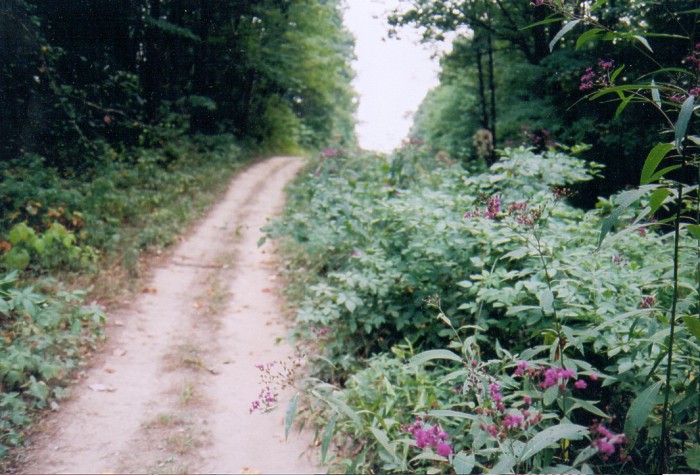 Photograph of ATV Trail