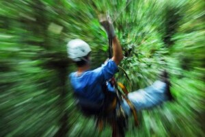 Ride the Ziplines