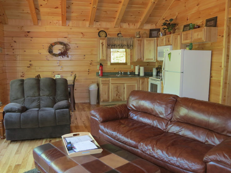 Claddagh Cabin living area