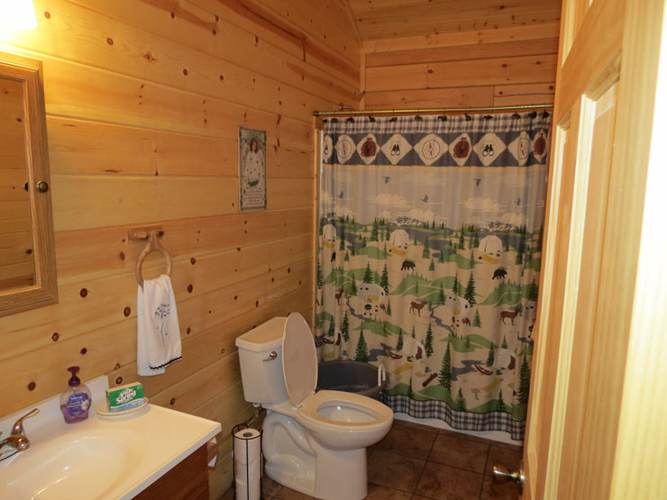 Shamrock Cabin bathroom