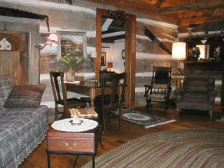 Log Cabin living area