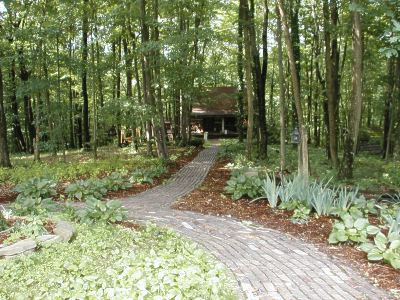 Log Cabin driveway