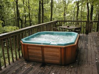 Log Cabin hottub