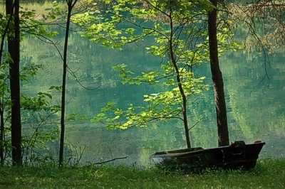 Paradise Cabin fishing boat and pond