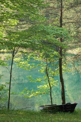 Paradise Cabin pond