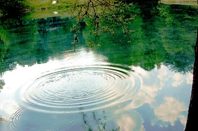 Paradise Cabin Pond