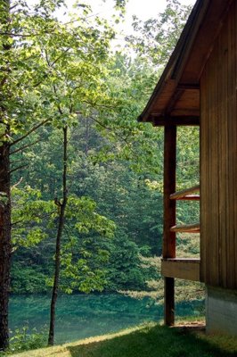 Paradise Cabin pond view