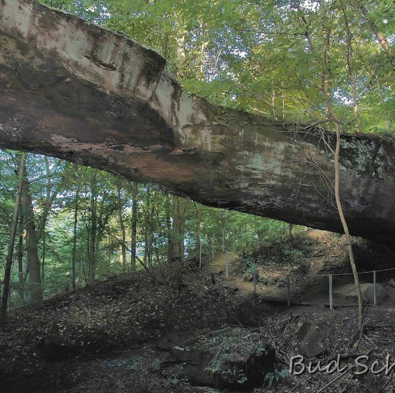 Rock Bridge State Nature Preserve, Rockbridge, Ohio | hockinghills.com
