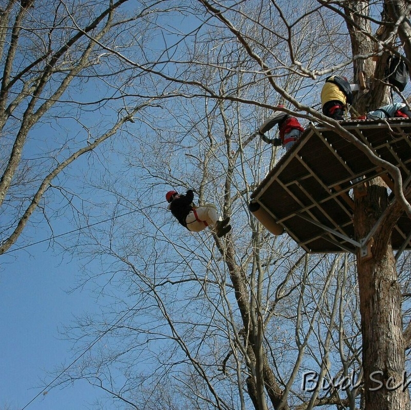 Zipping Along