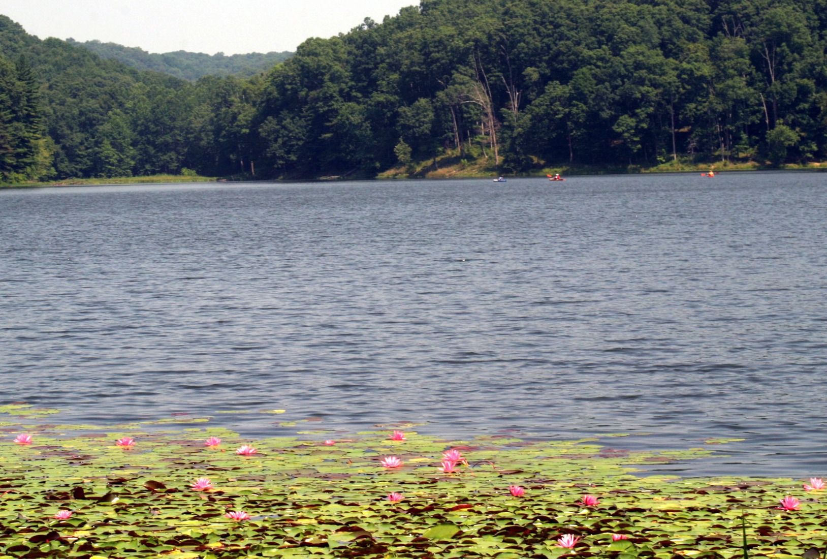 A day on the lake