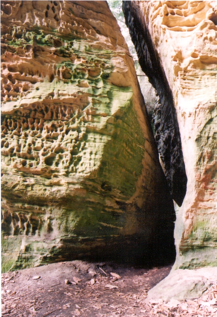 Cantwell Cliffs at Hocking Hills State Park | hockinghills.com