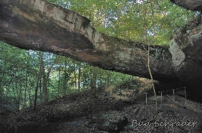 bs_hh2013_170.jpg