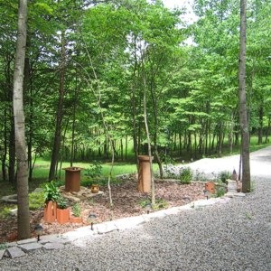 The treehouse driveway