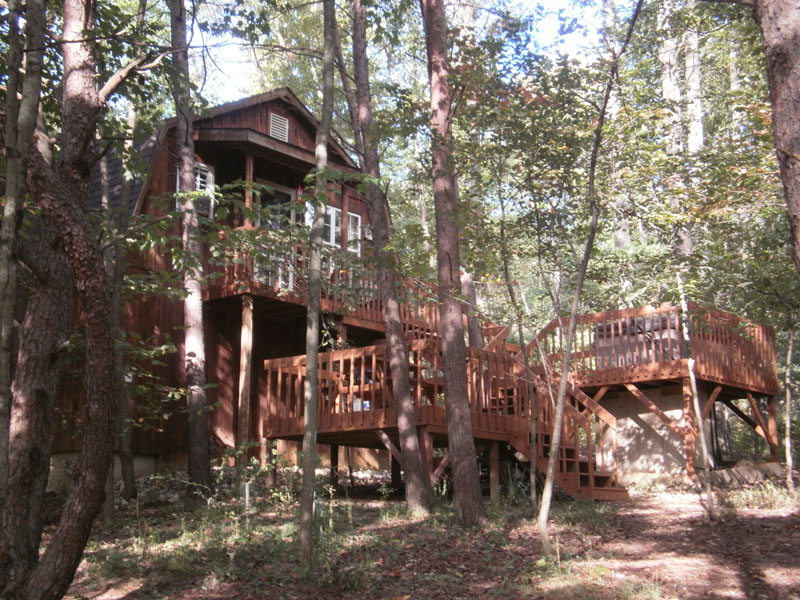 The treehouse woods