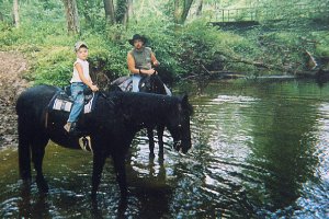 Three Reasons Horse Farm Horse Camp