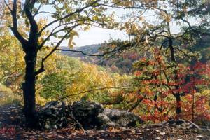 Fabulous scenic vistas at Three Reasons Horse Farm Horse Camp