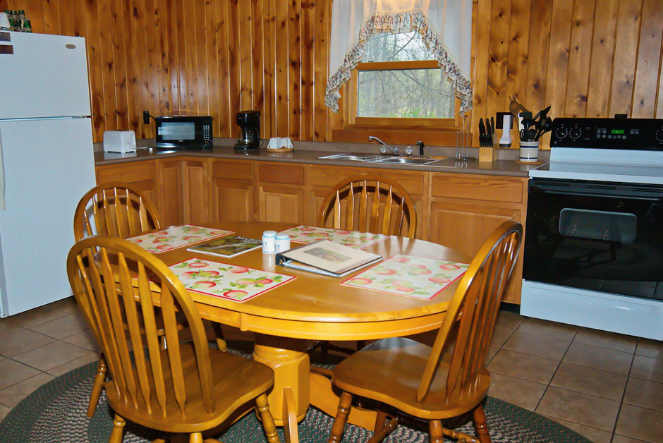 Walnut Valley Cabin kitchen
