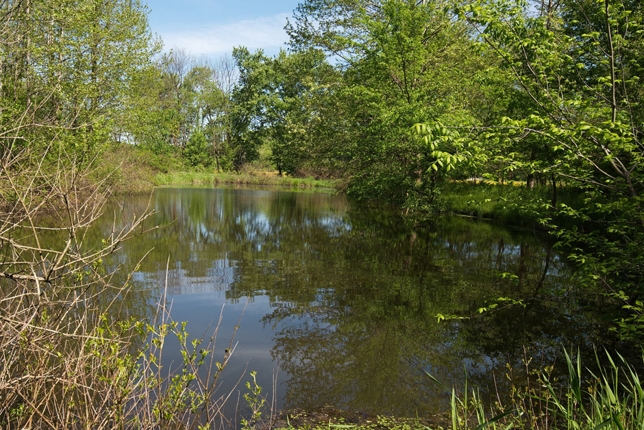 Walnut Valley Cabin pond